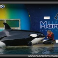 Marineland - Orques - Spectacle - 0839