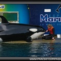 Marineland - Orques - Spectacle - 0840