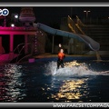 Marineland - Dauphins - Spectacle nocturne - 0415