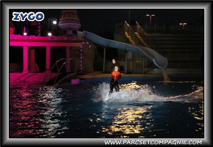 Marineland - Dauphins - Spectacle nocturne - 0415