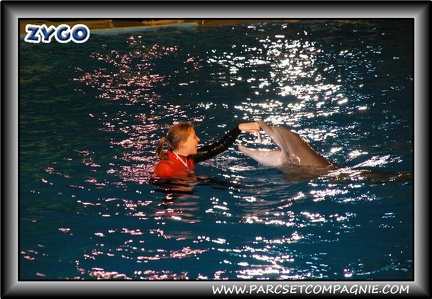 Marineland - Dauphins - Spectacle nocturne - 0417