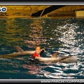 Marineland - Dauphins - Spectacle nocturne - 0423