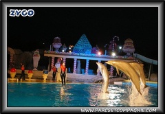 Marineland - Dauphins - Spectacle nocturne - 0427