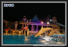 Marineland - Dauphins - Spectacle nocturne - 0428