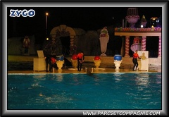 Marineland - Dauphins - Spectacle nocturne - 0429
