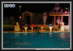 Marineland - Dauphins - Spectacle nocturne - 0430