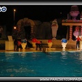Marineland - Dauphins - Spectacle nocturne - 0430
