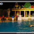 Marineland - Dauphins - Spectacle nocturne - 0431