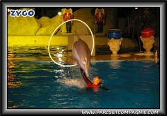 Marineland - Dauphins - Spectacle nocturne - 0433