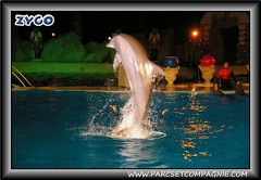 Marineland - Dauphins - Spectacle nocturne - 0434