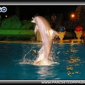 Marineland - Dauphins - Spectacle nocturne - 0434