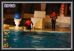 Marineland - Dauphins - Spectacle nocturne - 0436