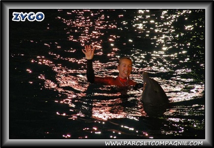 Marineland - Dauphins - Spectacle nocturne - 0444
