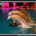 Marineland - Dauphins - Spectacle nocturne - 0446
