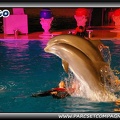 Marineland - Dauphins - Spectacle nocturne - 0447
