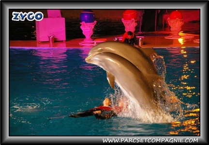 Marineland - Dauphins - Spectacle nocturne - 0447