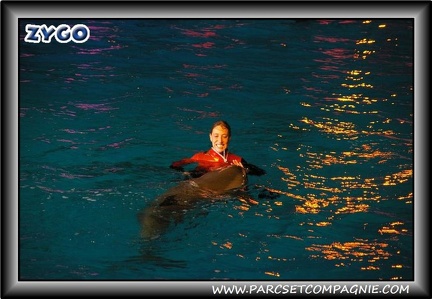 Marineland - Dauphins - Spectacle nocturne - 0448