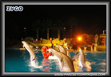 Marineland - Dauphins - Spectacle nocturne - 0450