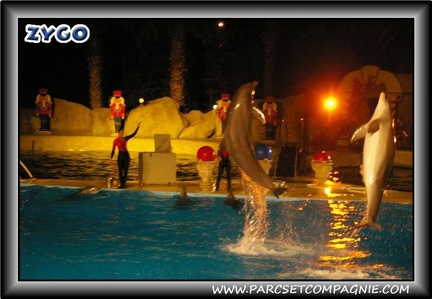 Marineland - Dauphins - Spectacle nocturne - 0452