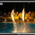 Marineland - Dauphins - Spectacle nocturne - 0453