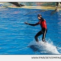 Marineland - Dauphins - Spectacle 14h15 - 0196