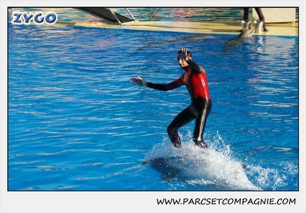 Marineland - Dauphins - Spectacle 14h15 - 0196