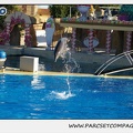 Marineland - Dauphins - Spectacle 14h15 - 0197