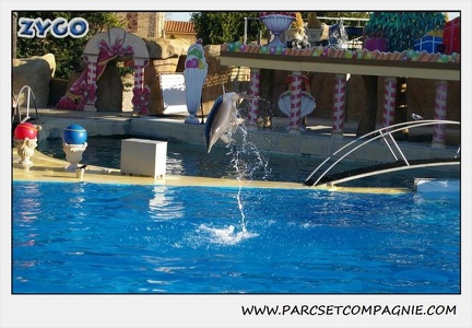 Marineland - Dauphins - Spectacle 14h15 - 0197