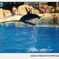 Marineland - Dauphins - Spectacle 14h15 - 0198