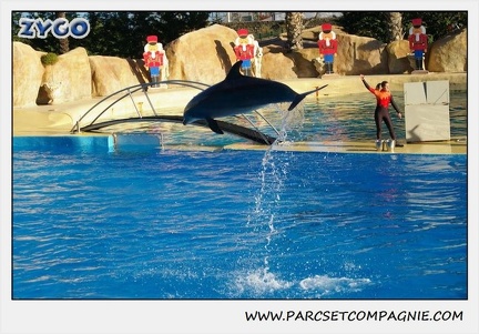 Marineland - Dauphins - Spectacle 14h15 - 0198