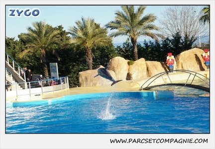 Marineland - Dauphins - Spectacle 14h15 - 0199