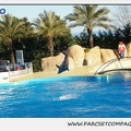 Marineland - Dauphins - Spectacle 14h15 - 0200