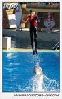 Marineland - Dauphins - Spectacle 14h15 - 0202
