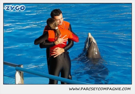 Marineland - Dauphins - Spectacle 14h15 - 0203