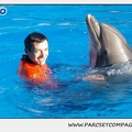 Marineland - Dauphins - Spectacle 14h15 - 0204