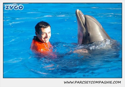 Marineland - Dauphins - Spectacle 14h15 - 0204