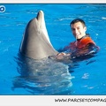 Marineland - Dauphins - Spectacle 14h15 - 0205