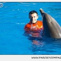 Marineland - Dauphins - Spectacle 14h15 - 0206