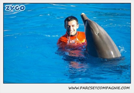 Marineland - Dauphins - Spectacle 14h15 - 0206