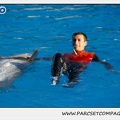 Marineland - Dauphins - Spectacle 14h15 - 0207