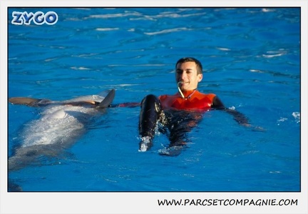 Marineland - Dauphins - Spectacle 14h15 - 0207