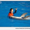Marineland - Dauphins - Spectacle 14h15 - 0208