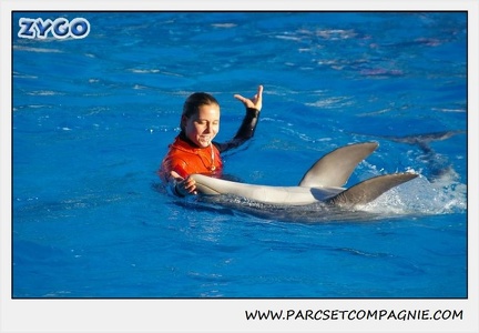 Marineland - Dauphins - Spectacle 14h15 - 0208