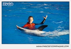 Marineland - Dauphins - Spectacle 14h15 - 0209