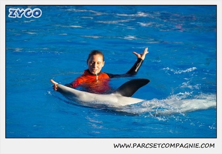 Marineland - Dauphins - Spectacle 14h15 - 0209