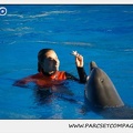 Marineland - Dauphins - Spectacle 14h15 - 0210