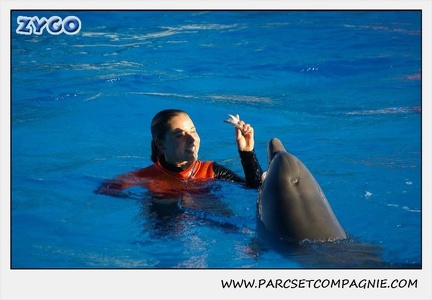 Marineland - Dauphins - Spectacle 14h15 - 0210