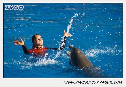 Marineland - Dauphins - Spectacle 14h15 - 0211
