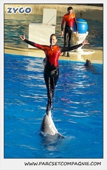 Marineland - Dauphins - Spectacle 14h15 - 0212