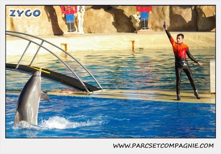 Marineland - Dauphins - Spectacle 14h15 - 0213